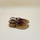 TRITON  Suede Campo Leather - 40